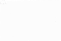 Glosy o české politice 1996-1999