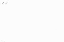 O ml&aacute;d&iacute; t&eacute;měř staropražsk&eacute;m