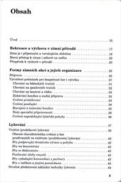 Zimní hry na sněhu i bez něj