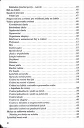 Zimní hry na sněhu i bez něj