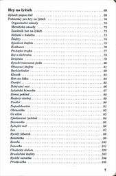 Zimní hry na sněhu i bez něj