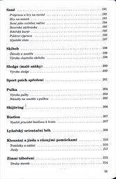 Zimní hry na sněhu i bez něj