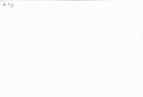 Kočka v bot&aacute;ch