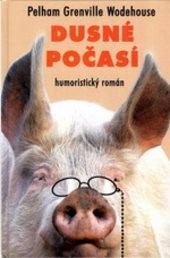 Dusné počasí