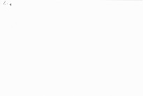 Nietzsche a postmodernismus