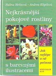Nejkrásnější pokojové rostliny