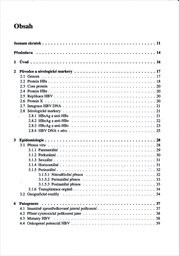 Virov&aacute; hepatitida B a jej&iacute; klinick&yacute; v&yacute;znam