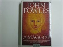 A maggot
