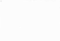 Labradorský retrívr