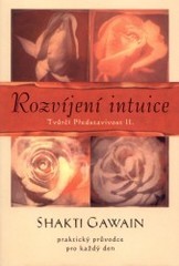 Rozvíjení intuice