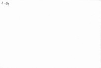 Květena Kan&aacute;rsk&yacute;ch ostrovů