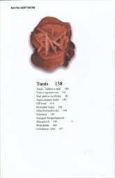 Nočn&yacute; tam tam