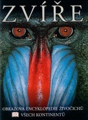 Zvíře