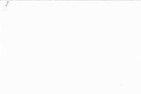 The gift of dyslexia