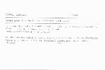 Český podnik v české transformaci 1990-2000