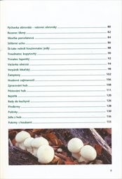 L&eacute;čiv&eacute; houby podle bylin&aacute;ře Pavla