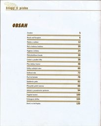 Stopy v p&iacute;sku