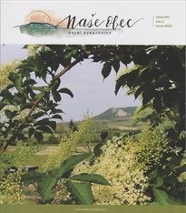Naše obec Dolní Dunajovice
