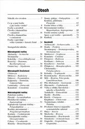 D&aacute;vn&yacute; svět zkamenělin