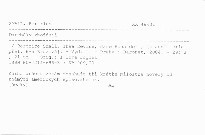 Dareb&aacute;ky zbožňuji