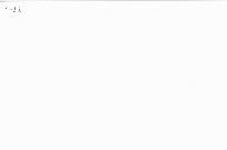 Dareb&aacute;ky zbožňuji