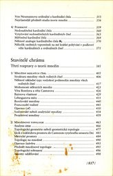 Vypr&aacute;věn&iacute; o kr&aacute;se novobarokn&iacute; matematiky