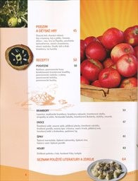 Lidov&eacute; obyčeje a n&aacute;pady pro šikovn&eacute; ruce