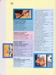 Bezpečný dům a byt