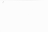 Z&aacute;chrana kriticky ischemick&eacute; končetiny