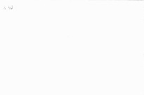 Pěstujeme okrasné cibuloviny