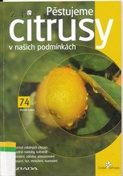 Pěstujeme citrusy v našich podmínkách