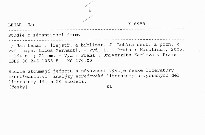 Studie o sémantizaci formy