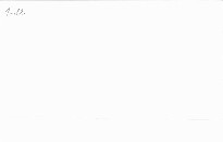 Rostliny Středozem&iacute;