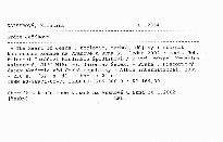 Srdce Jež&iacute;šovo