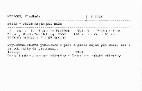 Penis - r&aacute;dce nejen pro muže