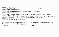 Obchodn&iacute; korespondence a komunikace - němčina