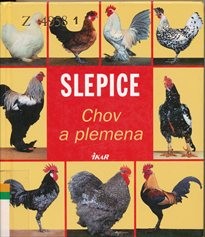 Slepice