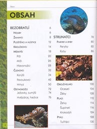 Z&aacute;zračn&yacute; svět živočichů od prvoků po savce