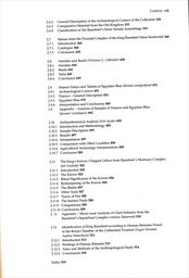 The pyramid complex of Raneferef