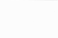 Vánoce ve Washingtonu