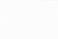 Recepty převážně s masem