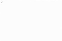 Recepty převážně s masem