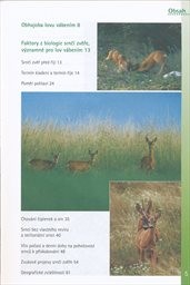 Lov srnce v&aacute;ben&iacute;m