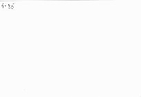 Smrt za letn&iacute; noci