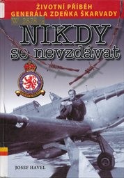 Nikdy se nevzd&aacute;vat