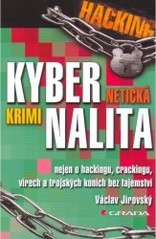 Kybernetická kriminalita