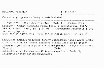 &Uacute;středn&iacute; jatky města Prahy v Holešovic&iacute;ch