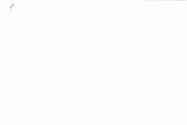 Ibuse Masuji: a century remembered