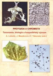 Protozoa a chromista