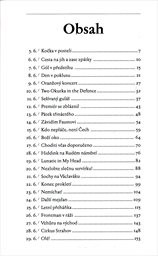 Fotbalov&yacute; den&iacute;k Jarom&iacute;ra Bos&aacute;ka 2008